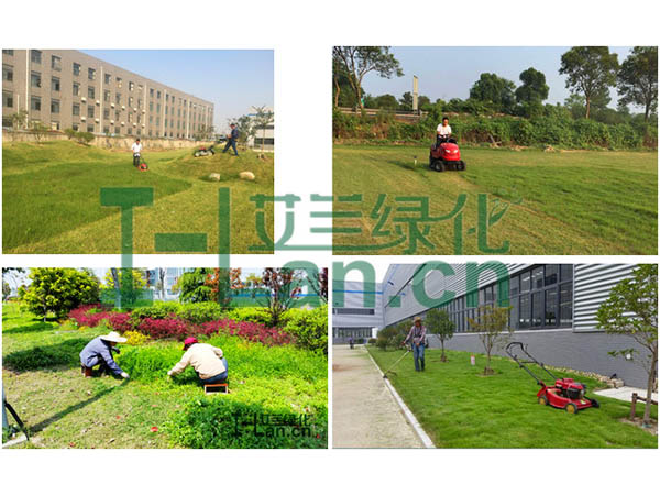 都会园林绿化的要点有哪些？？？？？？？？